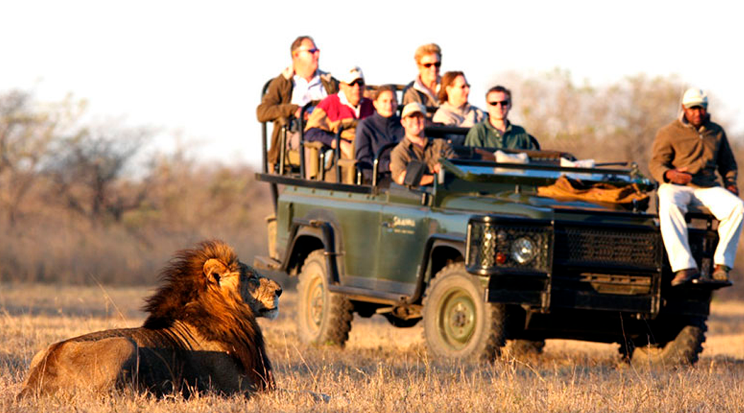 Safari na África